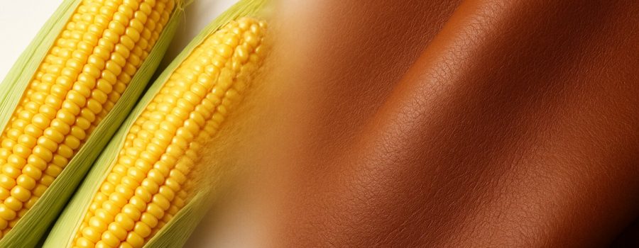 玉米皮革